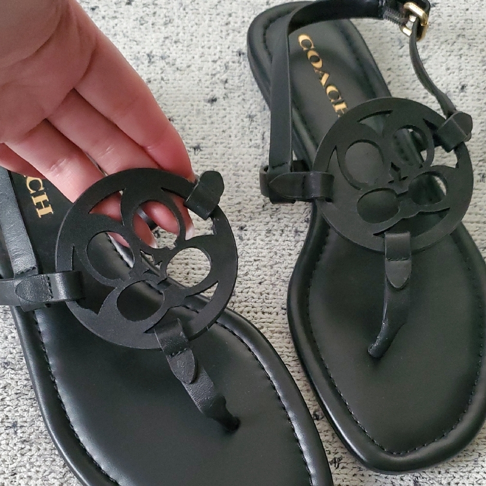 Coach Jaci Sandals - Picture 6 of 14